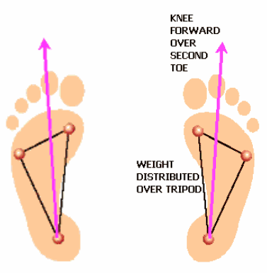 pfoottripod.gif