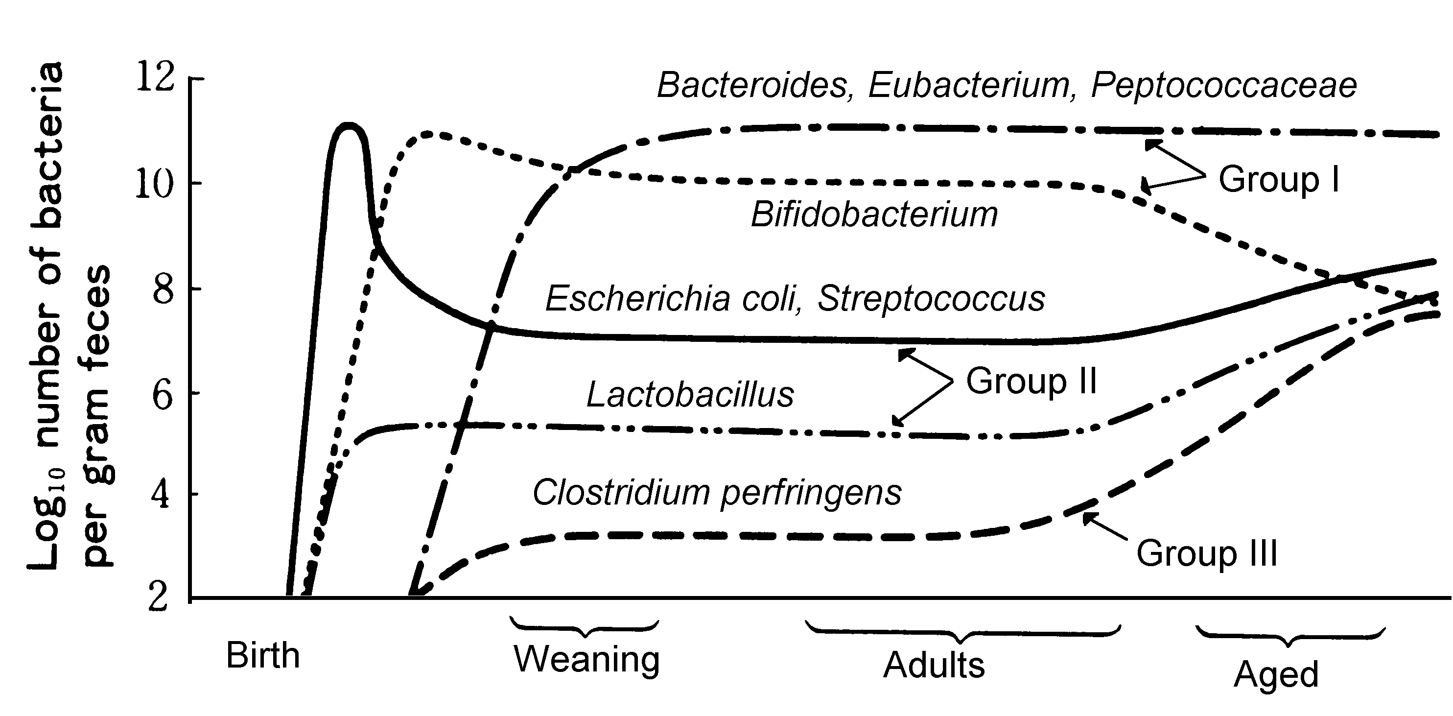 pbacteriaagechart.gif (52K)