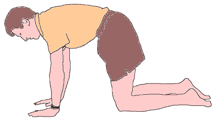 QuadriBackAssess1