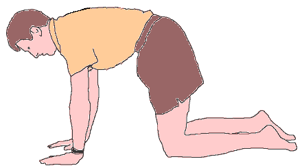QuadriBackAssess4