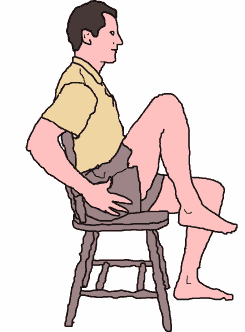 seated knee flexion