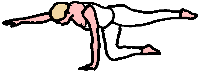 Lower back injury rehabilitation exercises (3): The Superman Pose