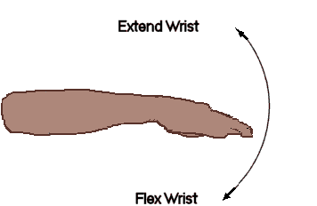 forearm extension