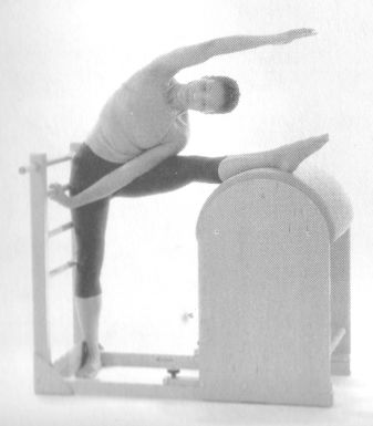 The Pilates Ladder Barrel