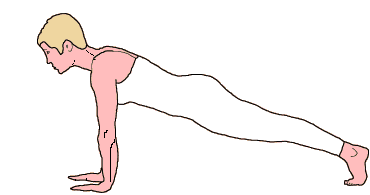 Classical Pilates Exercise: Leg Pull Front Support.