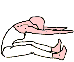 Classical Pilates Online: Spine Stretch Forward