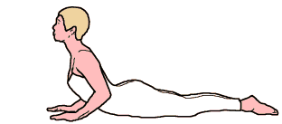 The Spine Stretch Forward