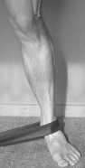 Posterior Tibial